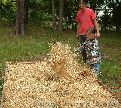 Making no-dig garden_familycropped 